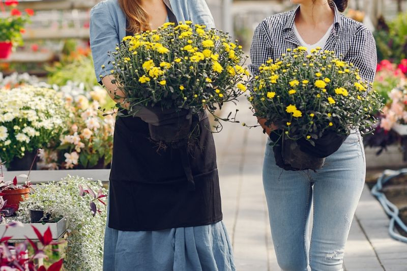 zdjęcie wyróżniające Zakaz plastikowych doniczek coraz bliżej. Co to oznacza dla sklepów i klientów?